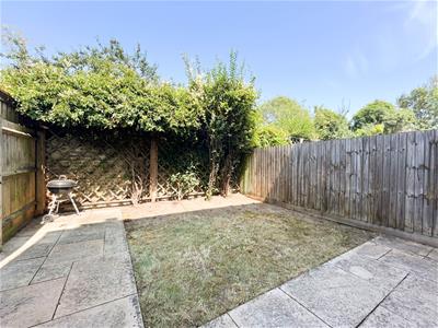 Picture 15